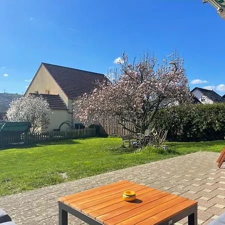 Zwischen Vogelsberg & Spessart *